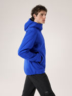 Arcteryx Atom Hoody Vitality