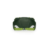 Osprey Duro Dyna Belt Seaweed Green/Limon 