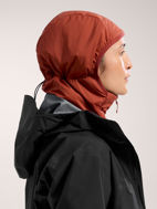 Arcteryx Atom Hoody Womens Sequoia