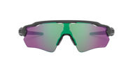 Oakley Radar EV Path Steel w/Prizm Road Jade  