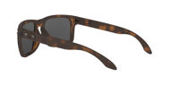 Oakley Holbrook Matte Brown Tortoise w/Prizm Black  