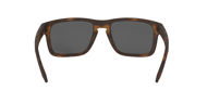 Oakley Holbrook Matte Brown Tortoise w/Prizm Black  