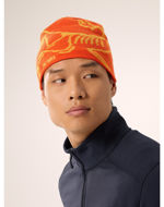 Arcteryx Bird Head Toque Solaris/Edziza