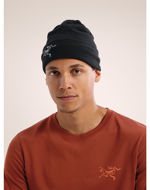 Arcteryx Embroidered Bird Toque Black 