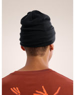 Arcteryx Embroidered Bird Toque Black 