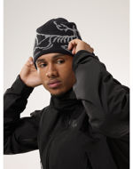 Arcteryx Bird Head Toque Black/Void 