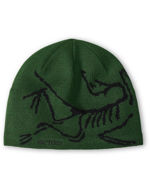 Arcteryx Bird Head Toque Eden/Black 