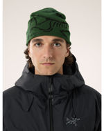 Arcteryx Bird Head Toque Eden/Black 