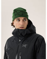 Arcteryx Bird Head Toque Eden/Black 