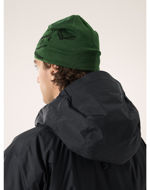 Arcteryx Bird Head Toque Eden/Black 