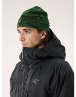 Arcteryx Bird Head Toque Eden/Black 