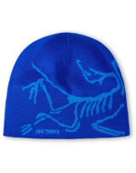 Arcteryx Bird Head Toque Vitality/Fluidty 