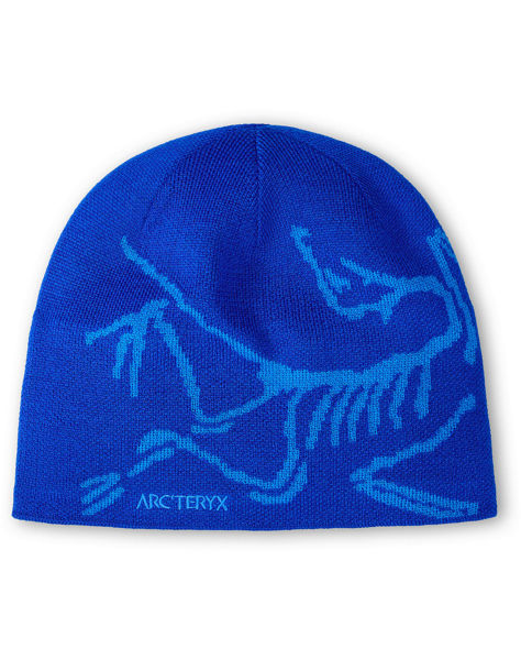 Arcteryx Bird Head Toque Vitality/Fluidty 