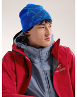 Arcteryx Bird Head Toque Vitality/Fluidty 