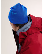 Arcteryx Bird Head Toque Vitality/Fluidty 