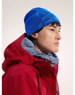 Arcteryx Bird Head Toque Vitality/Fluidty 