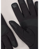 Arcteryx Venta Glove Black